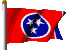 Tennessee flag